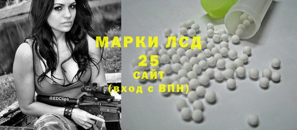 спиды Каменногорск