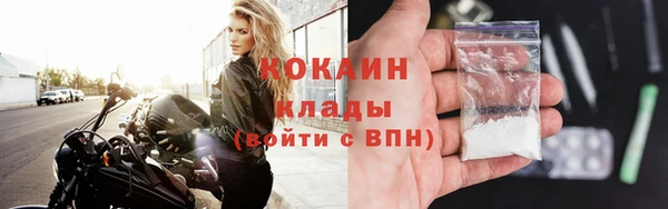 тгк Абаза