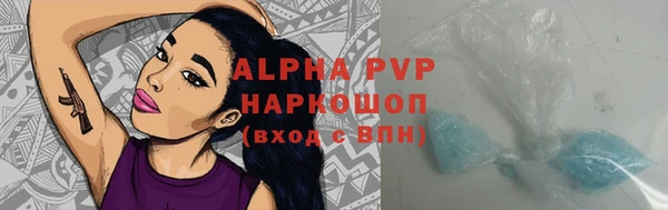 тгк Абаза