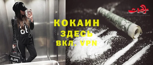 шишки Каменка