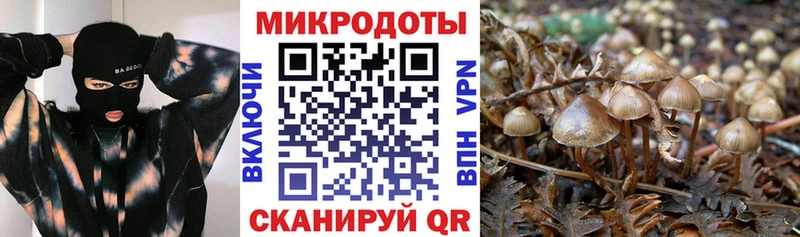Галлюциногенные грибы прущие грибы  Шахунья 